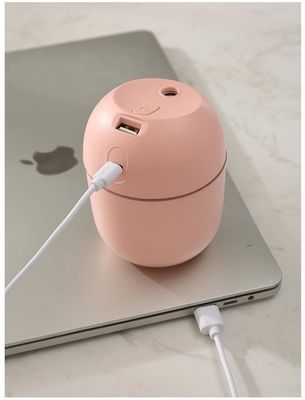 他の機能 超音波湿化器 H2o ミニカップ スプレーミスト 車用USB 空気湿化器